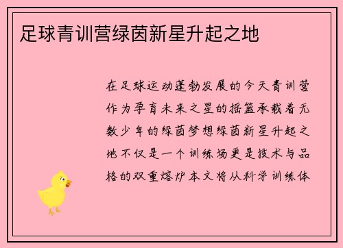 足球青训营绿茵新星升起之地