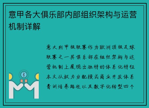 意甲各大俱乐部内部组织架构与运营机制详解